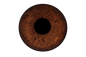 Aufnahme pro Iris inkl. Datei (ohne Effekt, schwarzer Hintergrund)