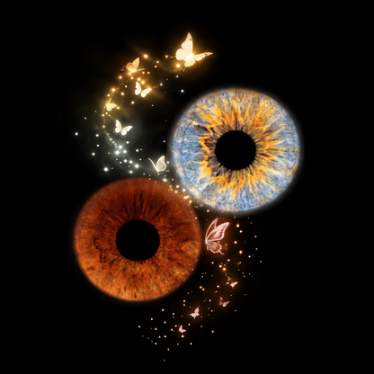 Aufnahme pro Iris inkl. Datei (mit Effekt- bzw. Kunstwerkbearbeitung)