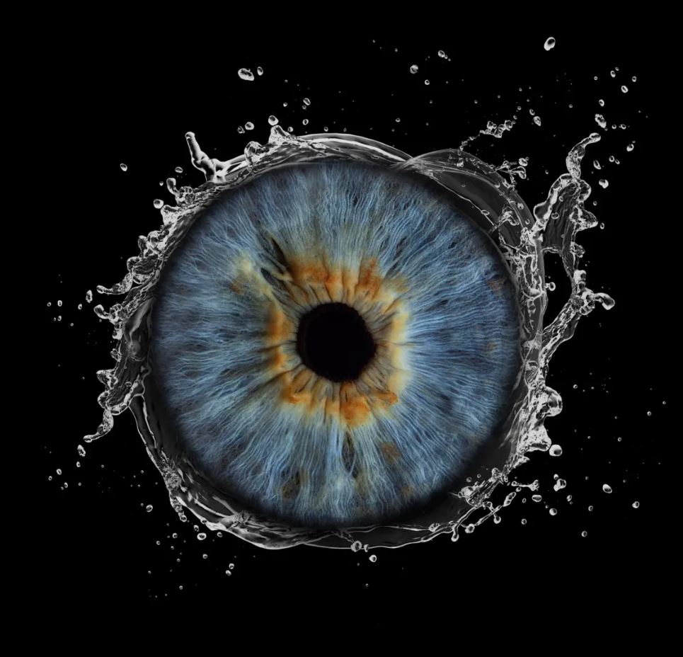 Aufnahme pro Iris inkl. Datei (mit Effekt- bzw. Kunstwerkbearbeitung)